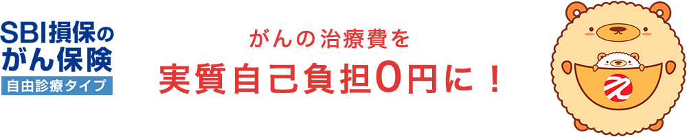 SBI損保のがん保険 がんの治療費を実質自己負担0円に！